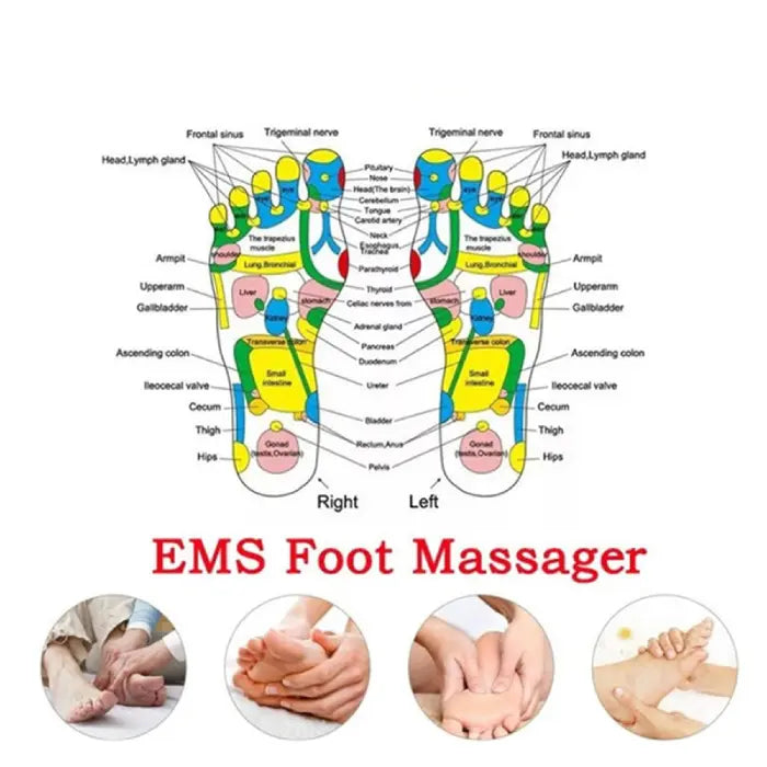 Reflexology zones shown for EMS foot massager with targeted massage and health benefits.